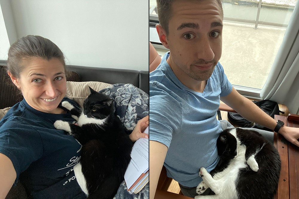 Athomepets Header
