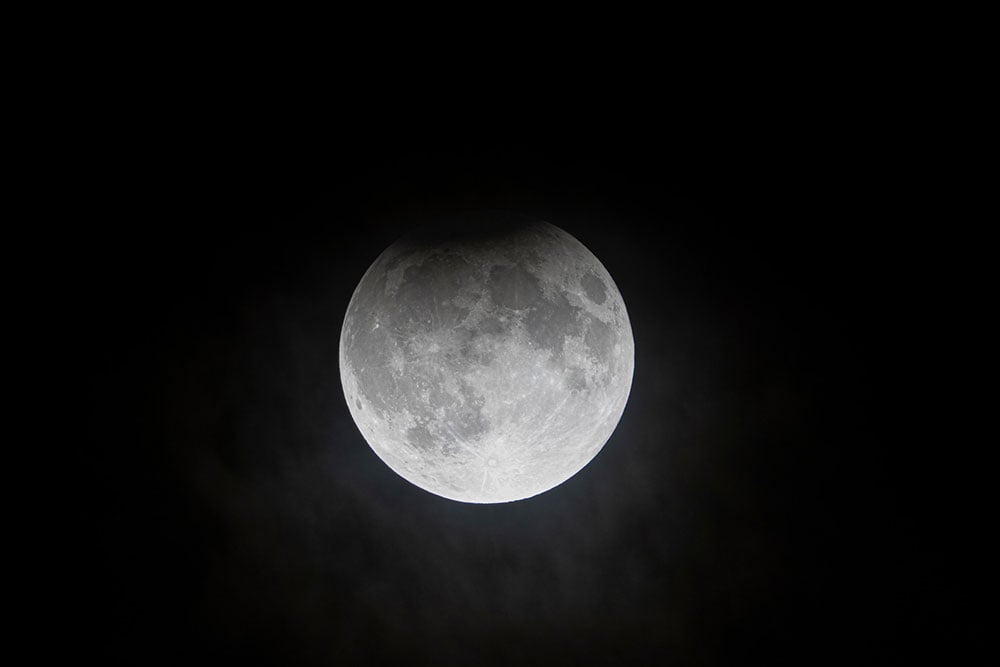 Harvest Moon Dave Dicello 3