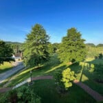 Porch View