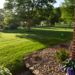 Sideyard